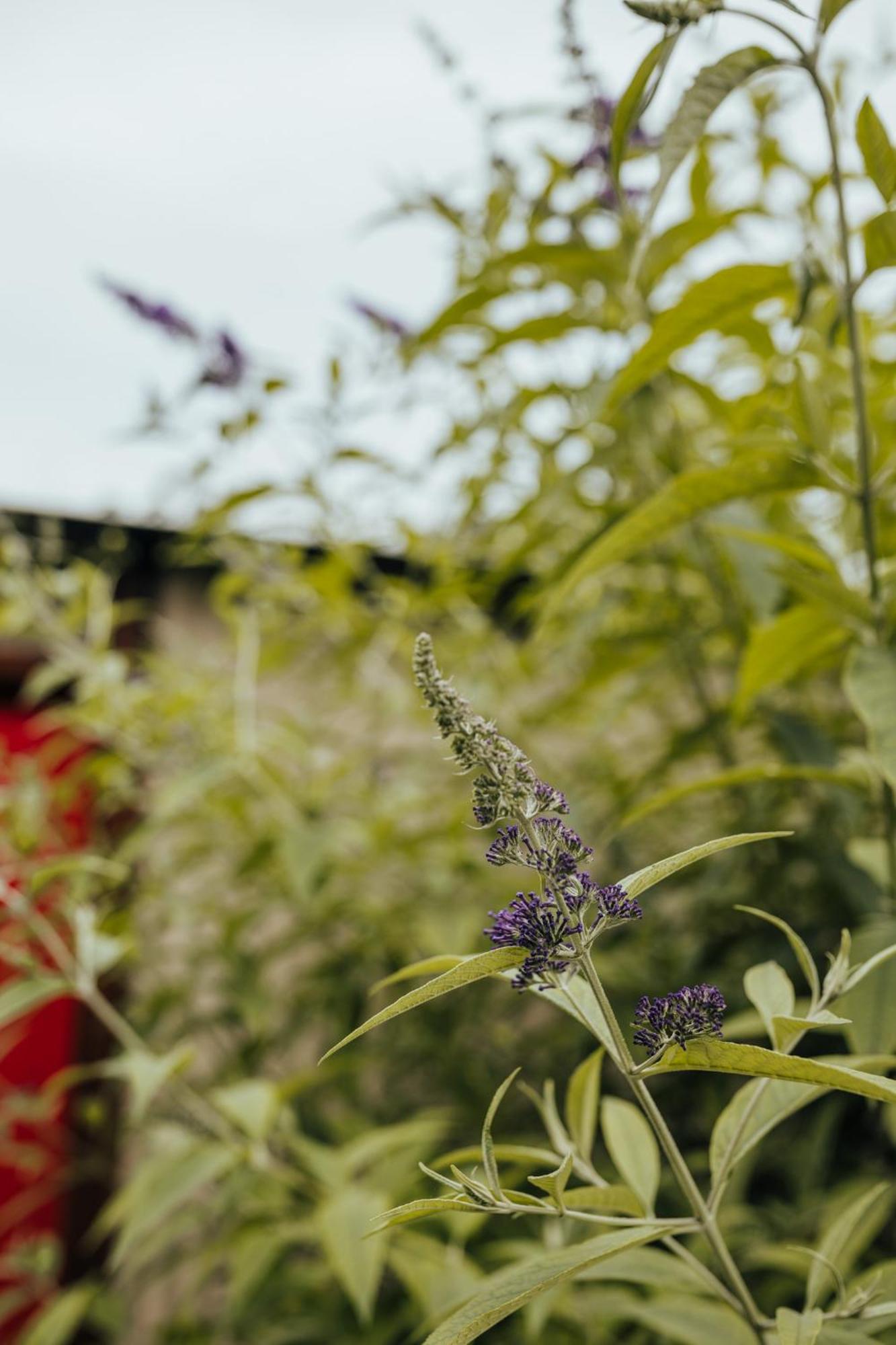 Wildernis Oakhurst Farm Cottages מראה חיצוני תמונה