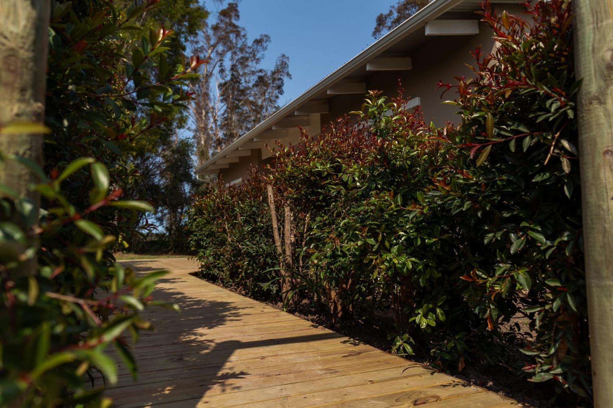 Wildernis Oakhurst Farm Cottages מראה חיצוני תמונה